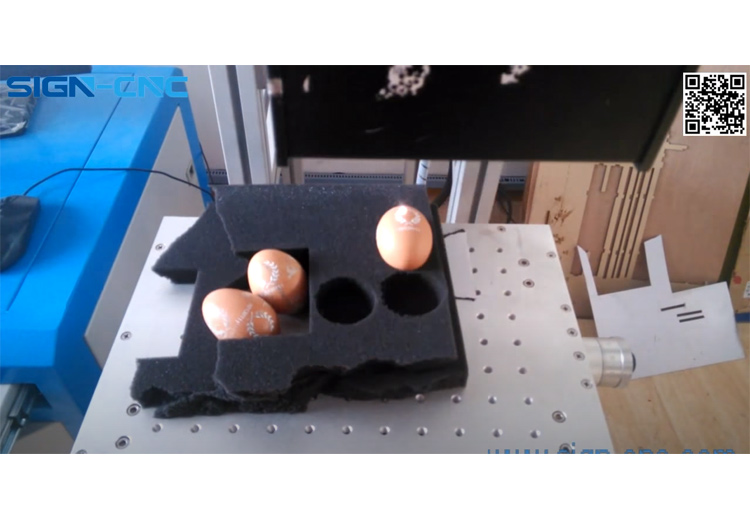 SIGN-CNC CO2打标机打标鸡蛋